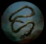 COADRecoilRope