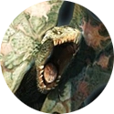 Button-demons.png