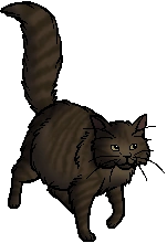 Duskfur.queen