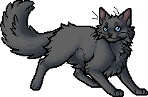 Feathertail.apprentice.alt.png