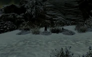 Refugees nest graves