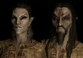 SepLnUp Dunmer b4&d4.png