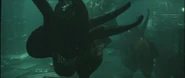 Alienswimming