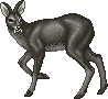BlackDeerM
