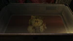 MysteriumXarxesDisplayCase