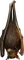 HO Tut Bat-icon