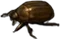HO Tut Scarab-icon