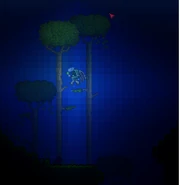 Underwater jungle trees