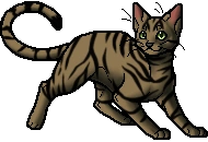 Longtail.apprentice