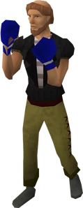 Blue boxing gloves equipped