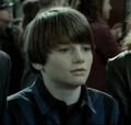Albus-DH.png