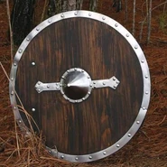 Viking-shield