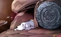 Krypto 010