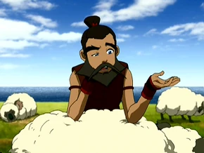 Sokka as therapist