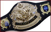 Championship Belt