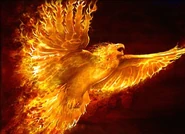 FieryPhoenix001