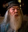 Albus Perkamentus