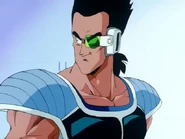 ToraNV02