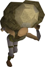 Neil