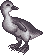 BlackSwanFH.gif