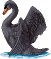 BlackSwanFA.gif