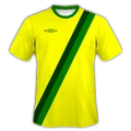 Lions New3.png