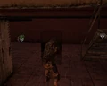 RiotShield-MW2