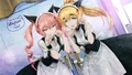 Ev f01a.jpg