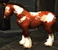 DariusCrowleyhorse.jpg