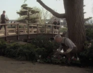 Boothby planting