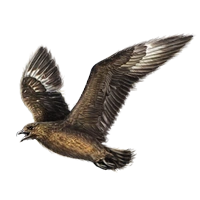 Huge item greatskua 01.png