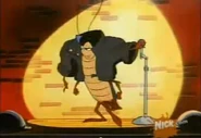 Roach