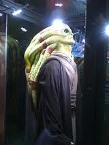 Fisto2.jpg