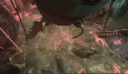Ewwww