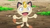 Rocket Meowth