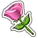 Crop Pink Roses