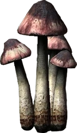 BleedingCrownRender