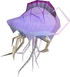 Void spinner
