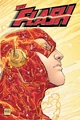 Flash Wally West 0014