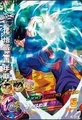 Gohan Heroes 8