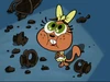 Little Chipmunk Girl