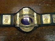 NWA Florida Champion 2