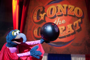 The Great Gonzo