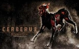 Cerberusx