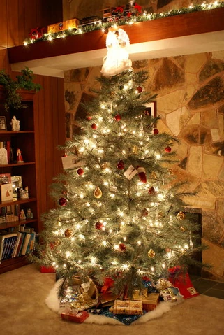 File:12242008 ChristmasEve00028.JPG