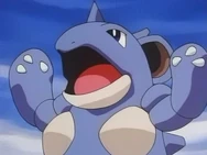 Dannys Nidoqueen