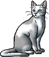 Furzepelt.warrior