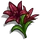 Landini Lilies-icon