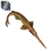 Saw Shark