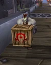 DragonmawPorter